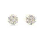 yellow gold earrings
